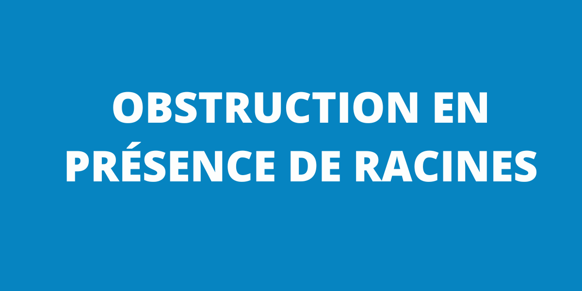 OBSTRUCTION RACINES