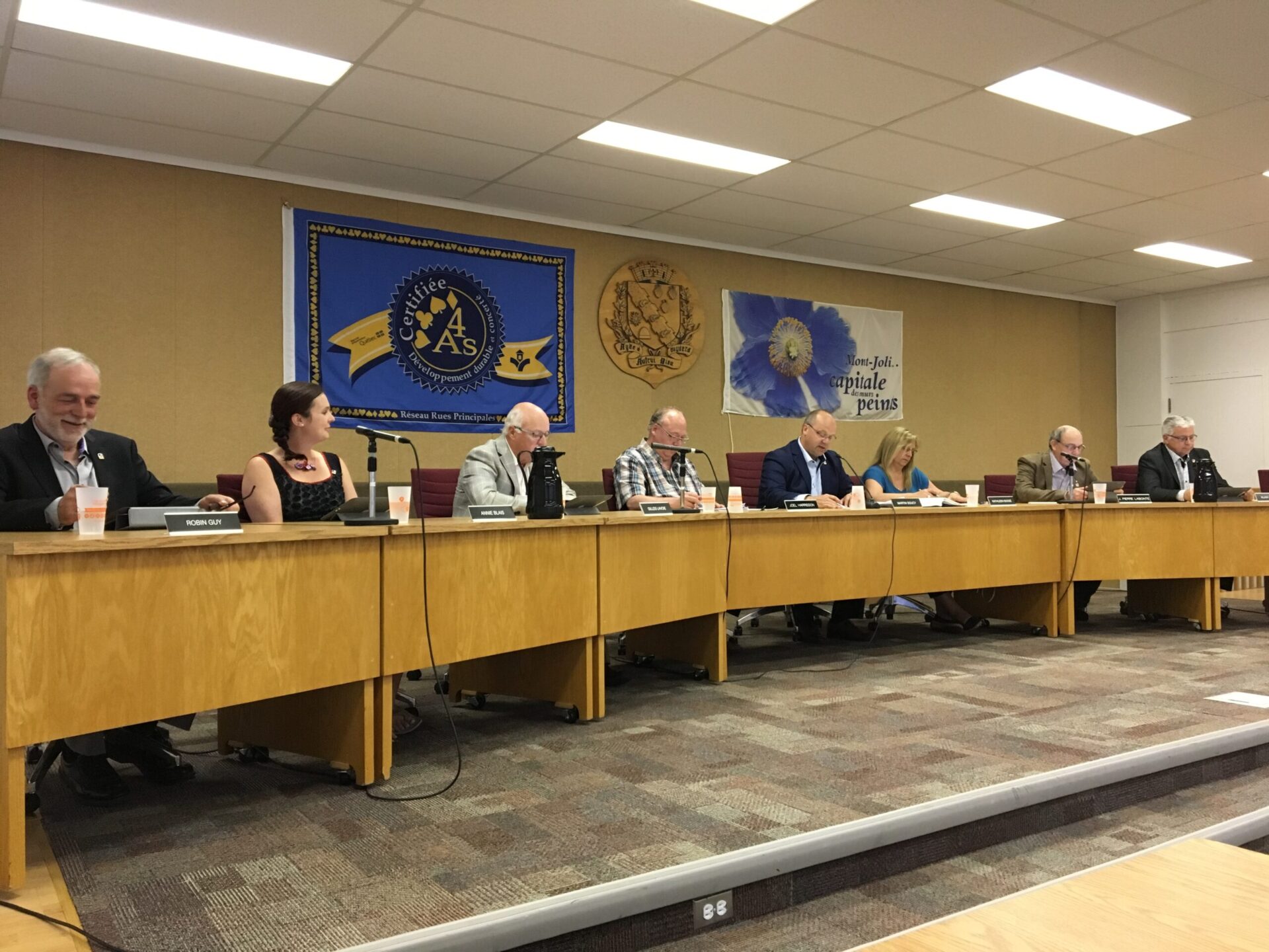 conseil municipal juillet 2019