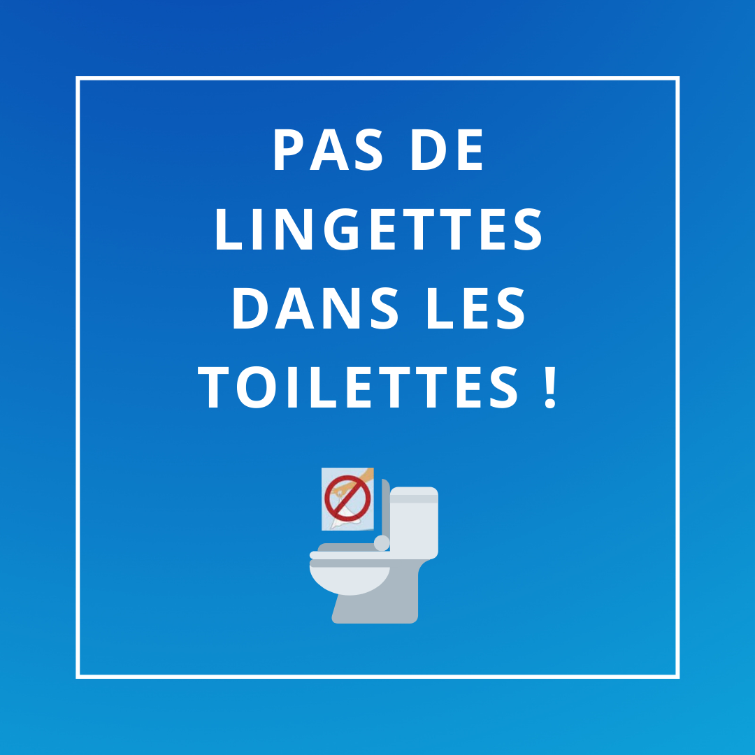 Pas de lingettes